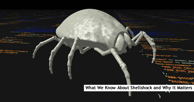 About the Shellshock Vulnerability: The Basics of the “Bash Bug” - Security  News